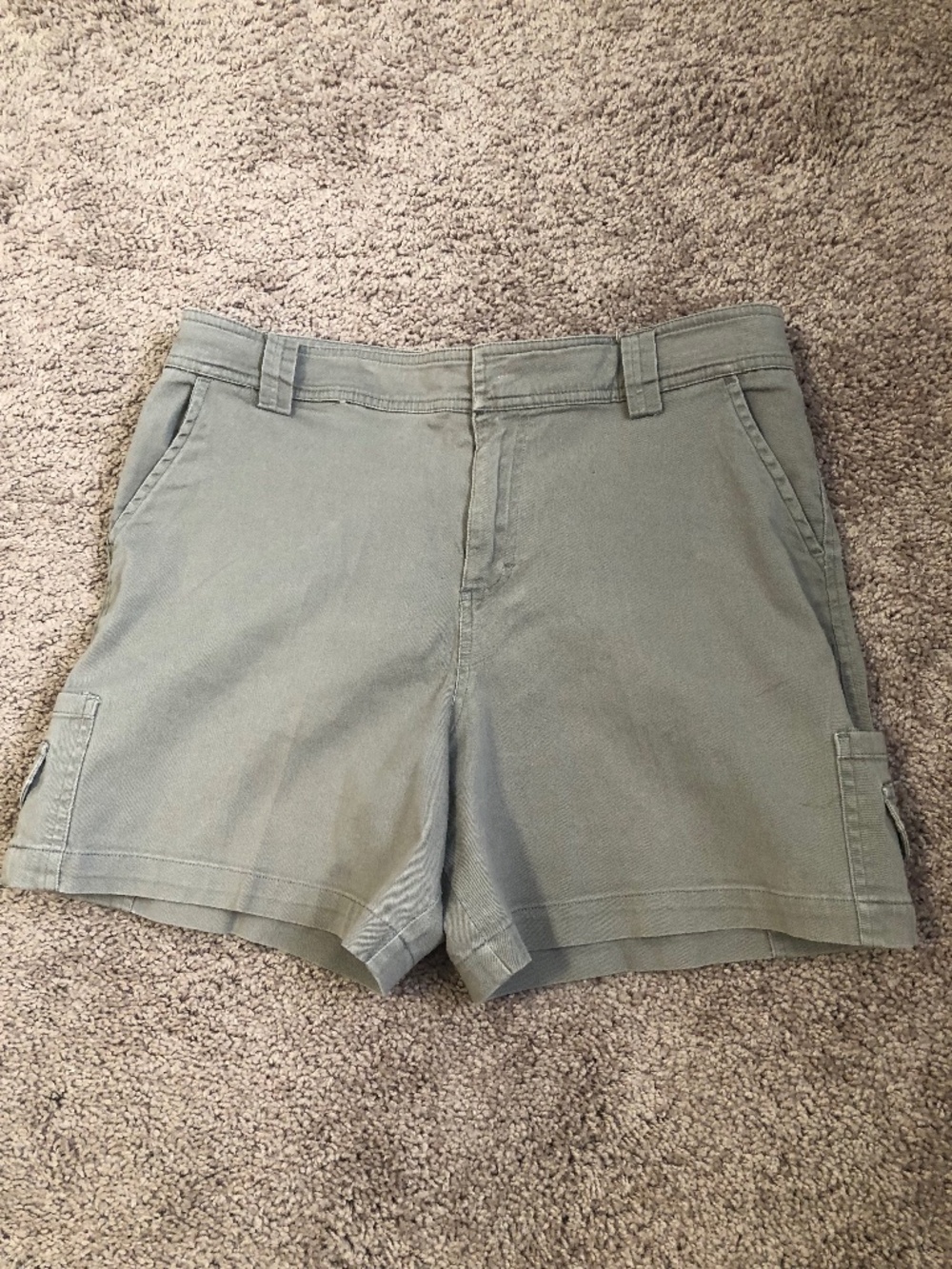 Architect Women’s Tan Shorts size 10 97% Cotton